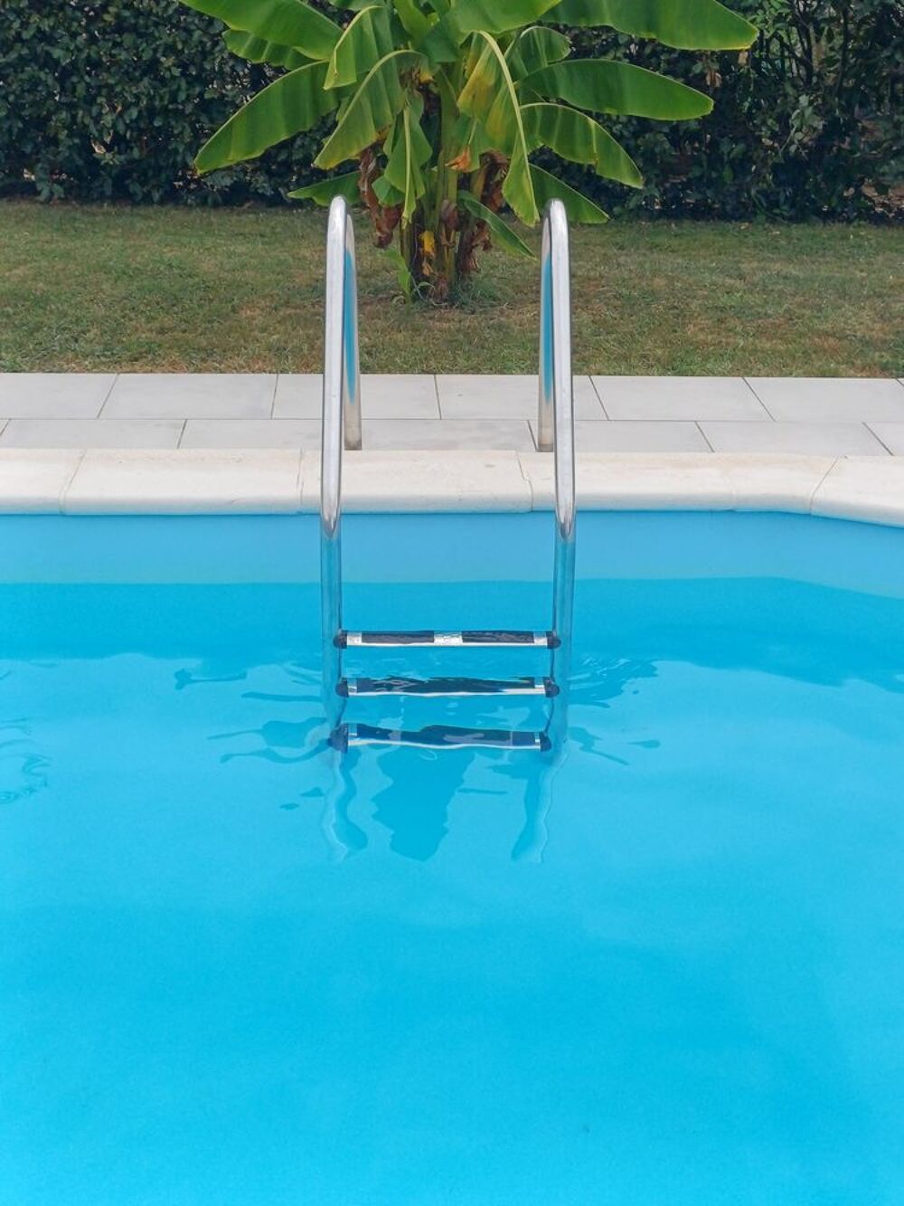Echelle inox piscine Jardin