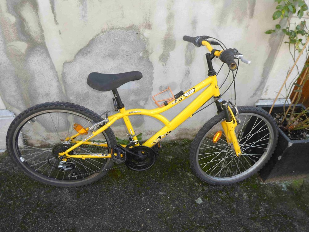 Nombreux v&eacute;los toutes tailles reconditionn&eacute;s Vélos