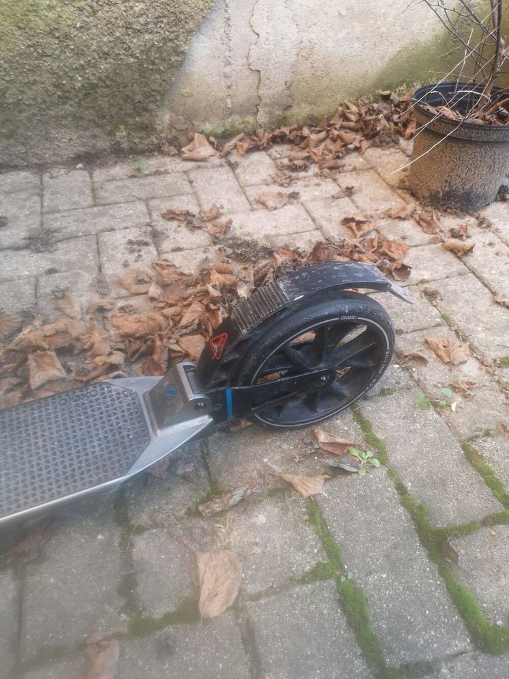 Trottinette oxelo Vélos