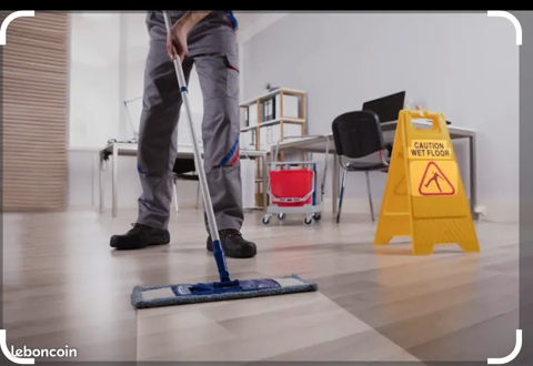 Employ&eacute; de m&eacute;nage, repassage et nettoyage complet 0 66000 Perpignan