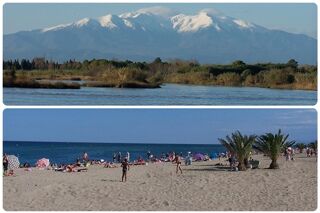 Location  Appartement 