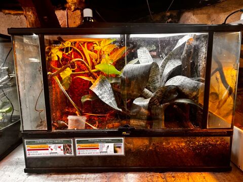 Terrarium terratlantis 90/45/60 350 56130 Théhillac