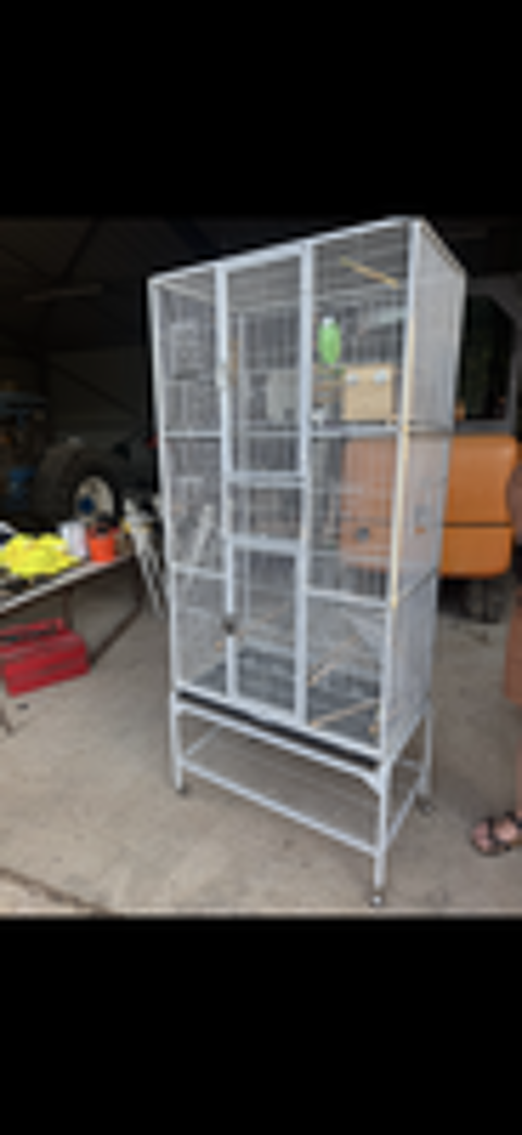   cage à oiseaux  