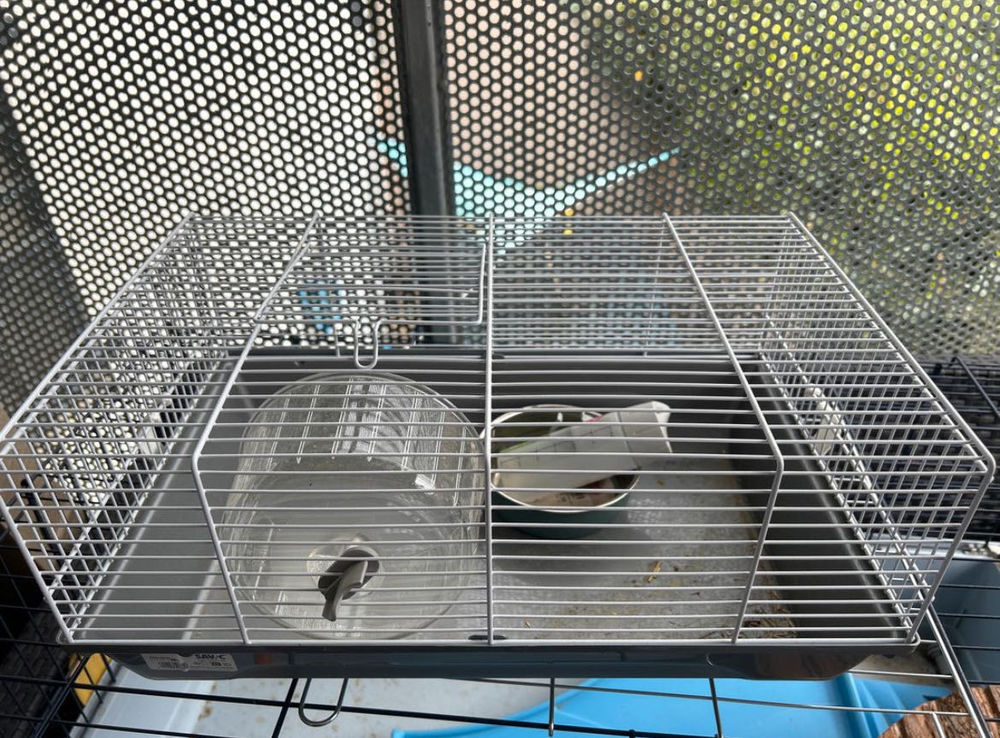 cage pour hamster Jardin