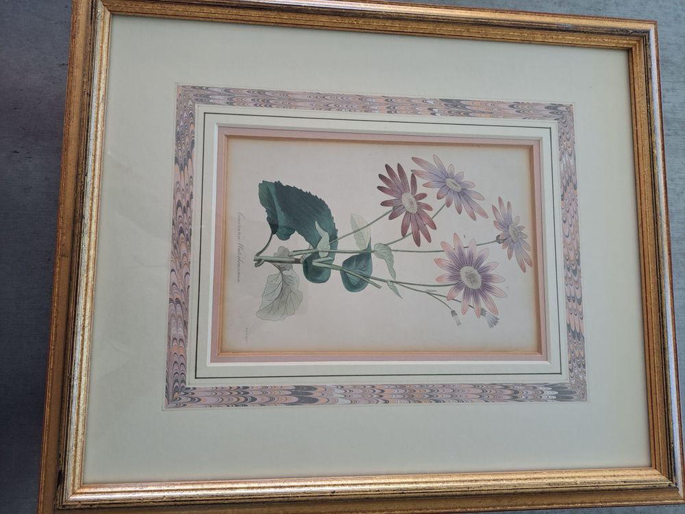 Litho Fleurs Décoration