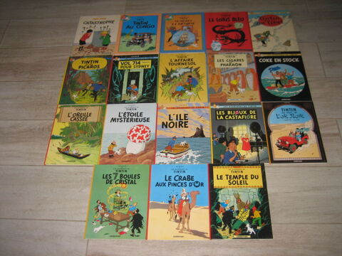 lot bd 20 aventures de TINTIN + quick et flupke cartonné HERGE 95 Cézy (89)