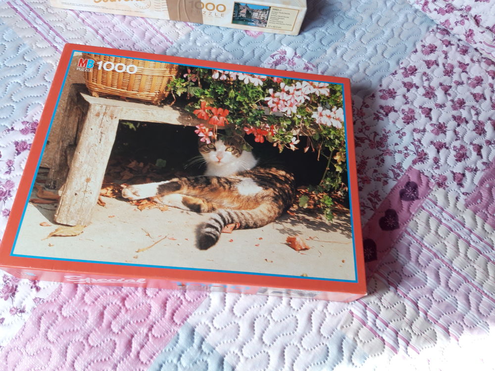 Puzzle 1000 pi&egrave;ces Jeux / jouets