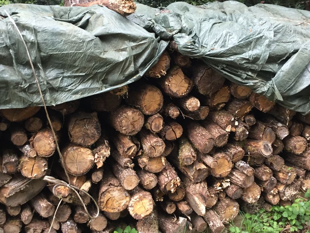 Bois de chauffage sec Jardin