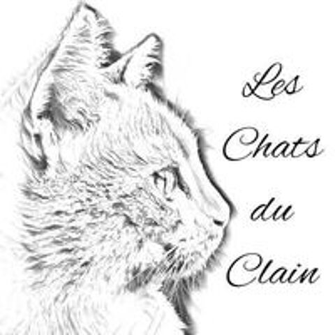   Recherche des familles d'accueil 