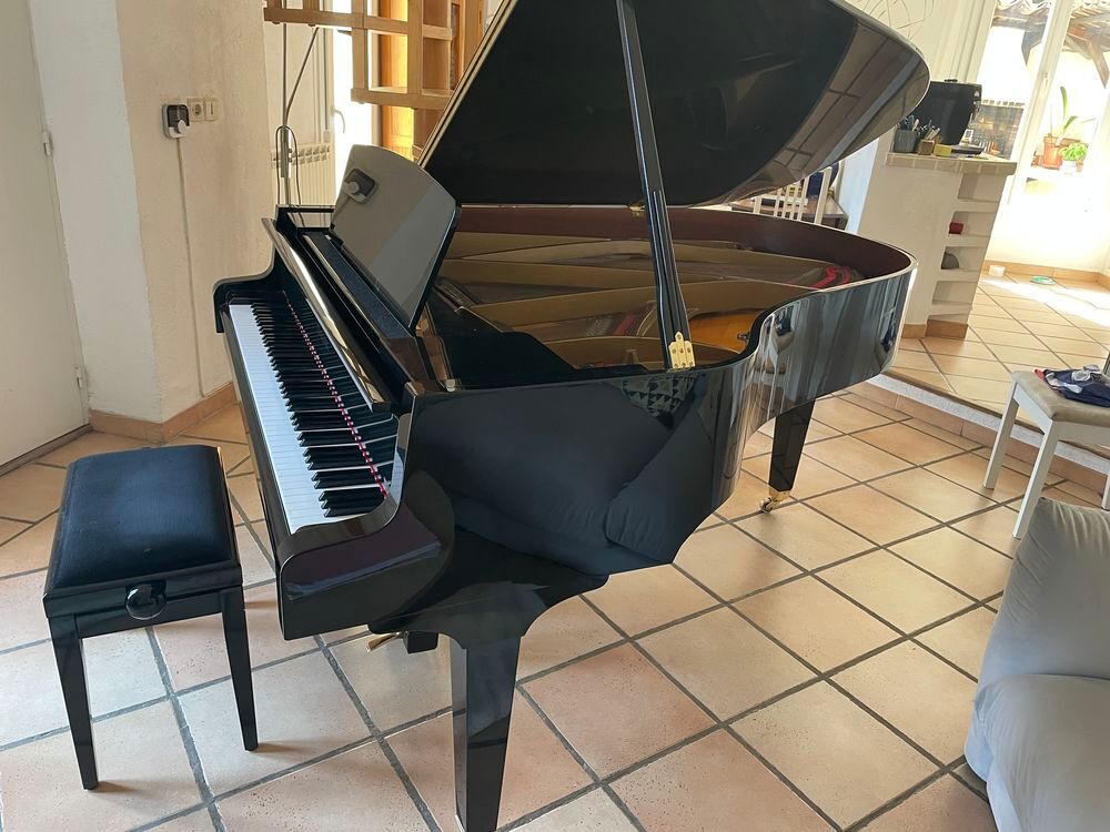 PIANO A QUEUE C.SAUTER Instruments de musique