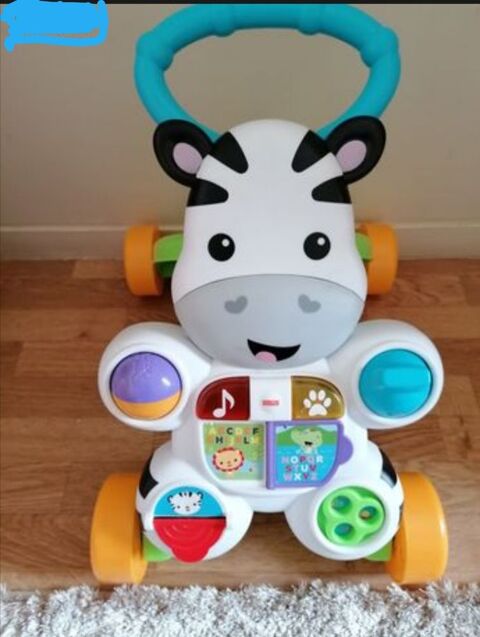 Trotteur 20 Tinqueux (51)