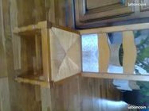 CHAISE CHNE MASSIF 200 Courtenay (45)