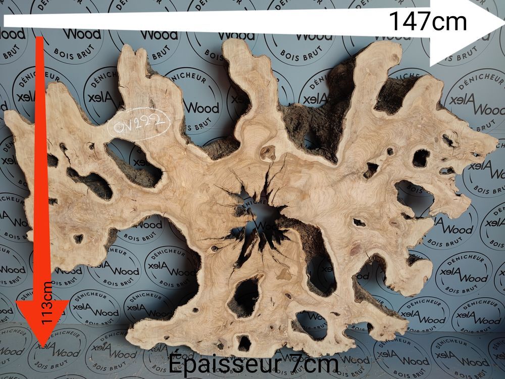 Plateau racine d'olivier XXL bois brut
Bricolage