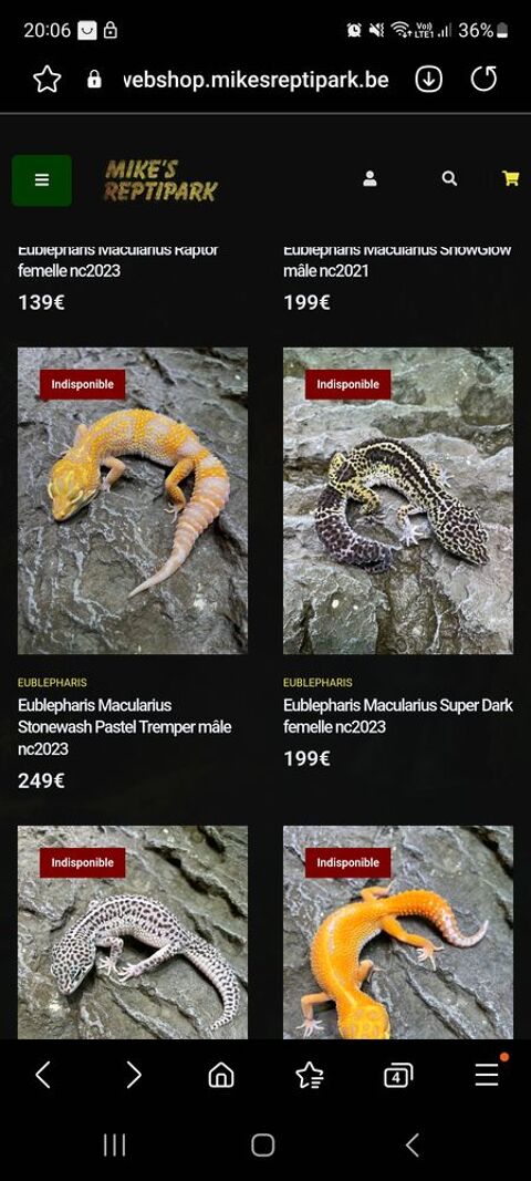  Eublepharis Macularius Gecko leopard phas 59553 Cuincy