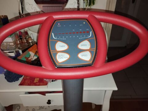 Plateforme vibrante 35 Chinon (37)