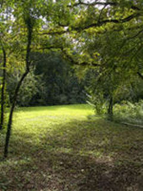   jardinier Brie Comte Robert - Combs la Ville 