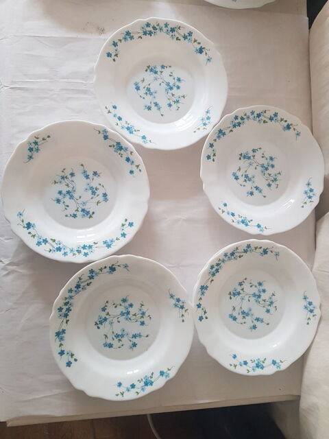 8 ASSIETTES CREUSES ARCOPAL BON ETAT_ DECOR MYOSOTIS 40 Paris 20 (75)