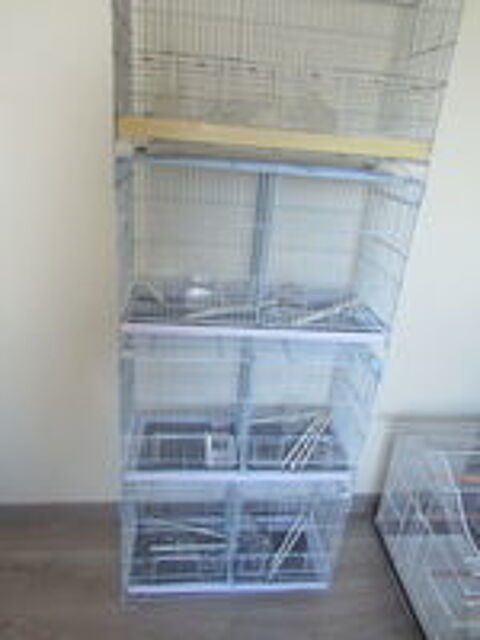   CAGE  