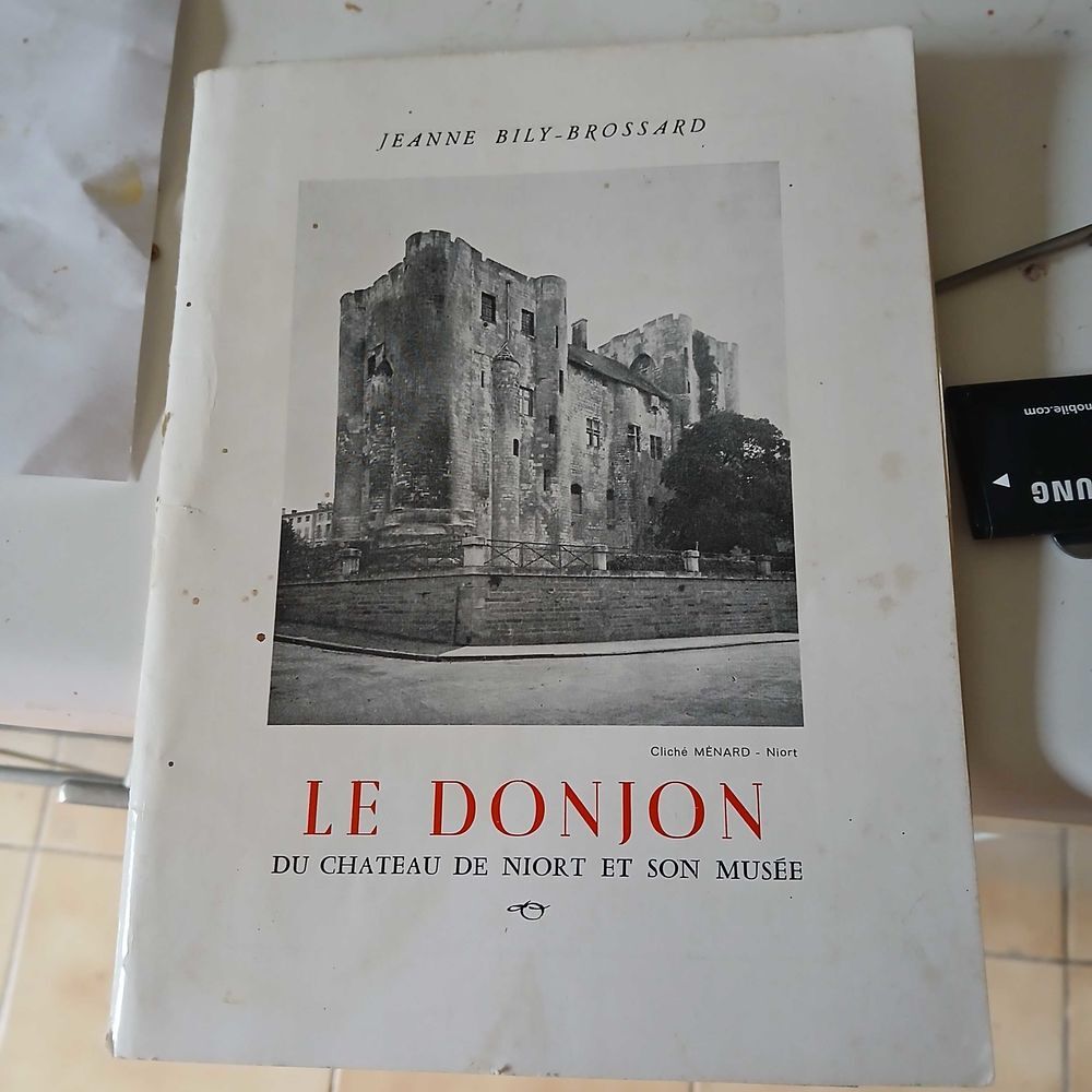 Le Donjon du Chateau de Niort et son mus&eacute;e Livres et BD