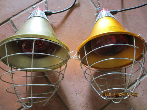1 PROTECTEUR +LAMPE CHAUFFANTE INFRAROUGE
79350 Cless