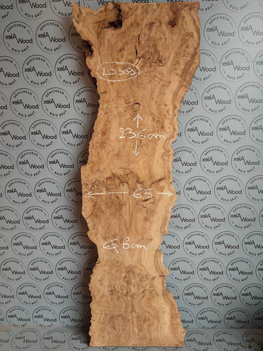 Rare plateau de loupe d'orme bois brut Bricolage