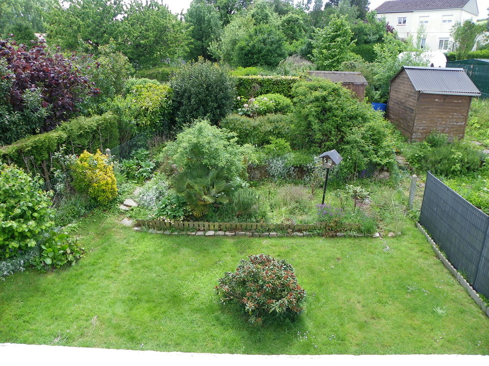 Vente Maison Maison semi-indépendante 6 pièces terrain 300m2 Doullens