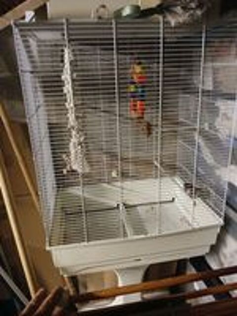   Cage a oiseaux sur pied 