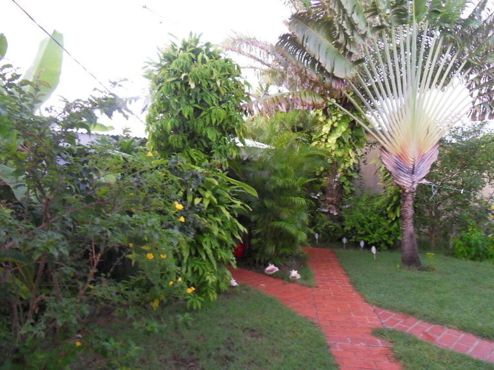 Location Appartement F1. 2 terrasses , jardin tropical Saint-françois