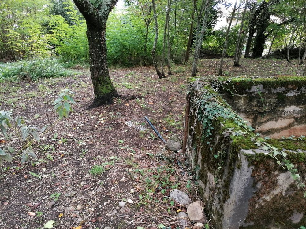 Vente Terrain Terrain de Loisir 1681 m² avec Mazet à la Côte St André La côte-saint-andré
