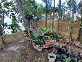  Maison � vendre 3 pi�ces 75 m�