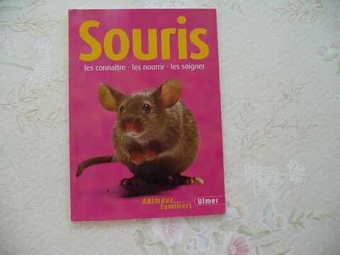 Livre sur les souris tout savoir pour en prendre soin 5 Celles-sur-Belle (79)