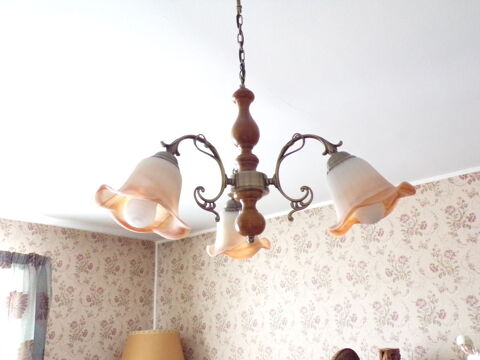 Lustre 30 Raismes (59)