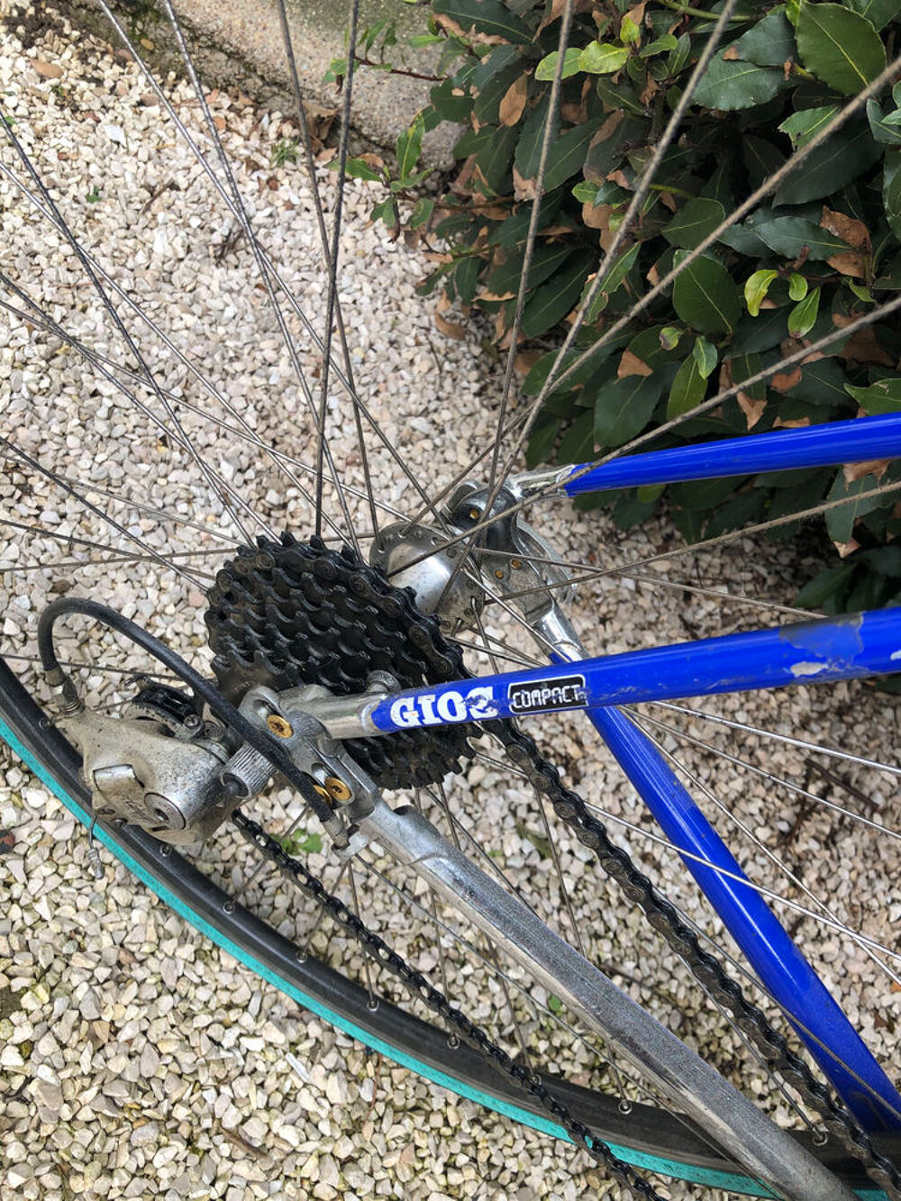 v&eacute;lo GIOS COMPACT mont&eacute; Campagnolo Record Vélos
