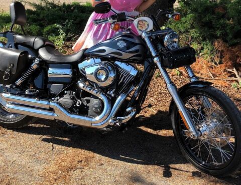 Moto HARLEY-DAVIDSON 2013 occasion Lourdes 65100
