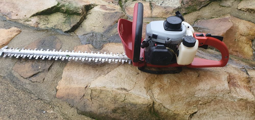 Taille haies thermique Bricolage