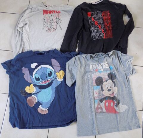 Hauts Disney 10 La Motte-d'Aveillans (38)