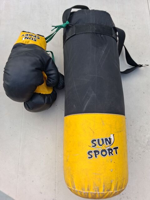 SAC DE FRAPPE AVEC LES GANTS 18 Coyolles (02)