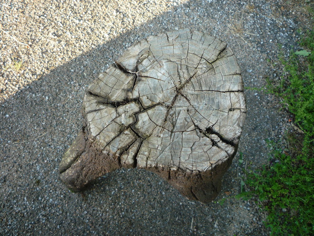 Jardini&egrave;re/bac &agrave; fleur/support vase Bricolage