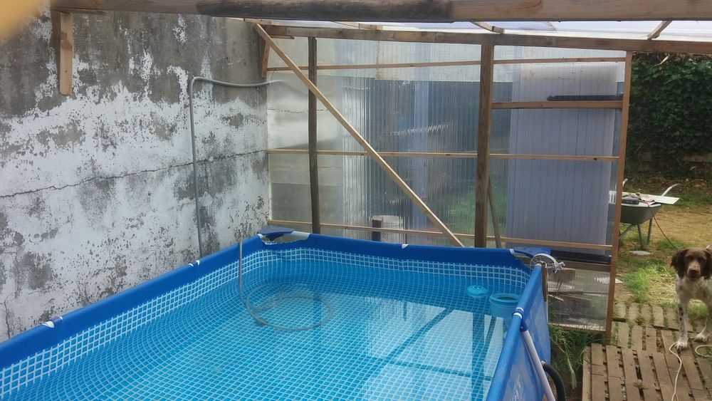piscine Jardin