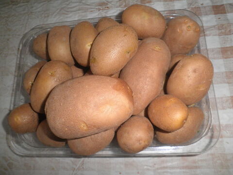 pommes de terre ( TURBO) de mon jardin, 100% BIO Bohain-en-Vermandois (02)