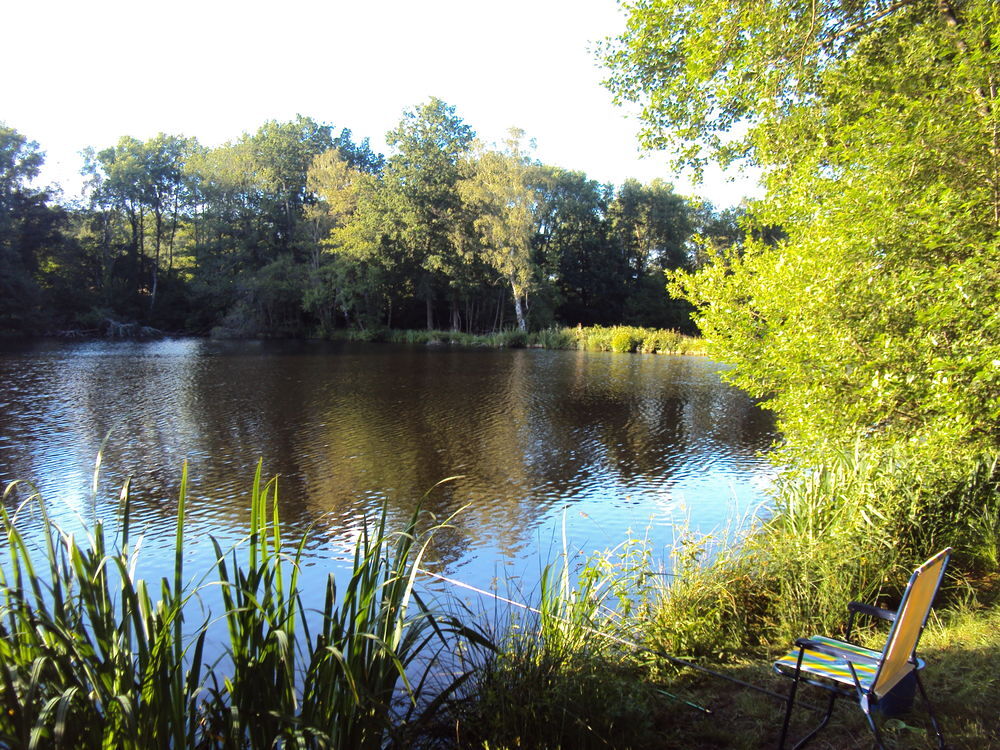 Vente Autre Etang dans la Creuse à 20 mn de Montluçon Quinssaines