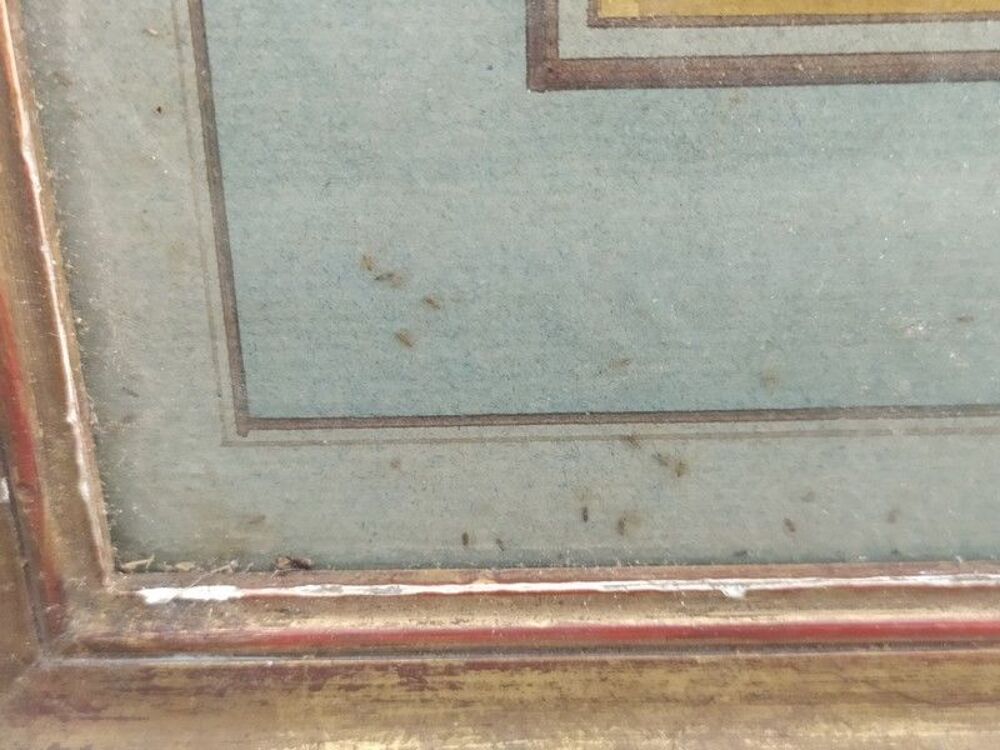 Gravure &Eacute;rotique Alexandre Chaponnier L'Amant XIXe 