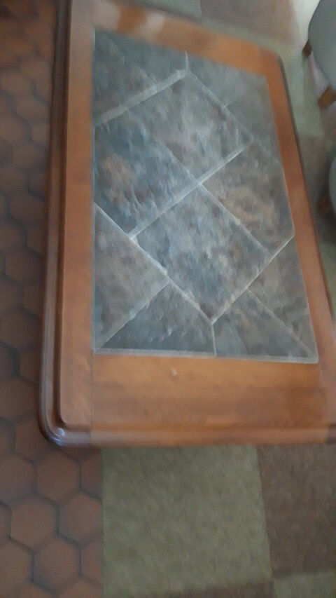 Table basse de salon 14 Mont-Saint-Vincent (71)