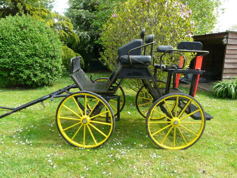 voiture attelage cheval 1000 Amiens (80)