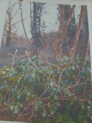  Terrain � vendre 5500 m� Saint-c�me