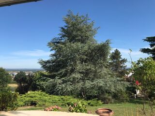  Maison � vendre 9 pi�ces 280 m�