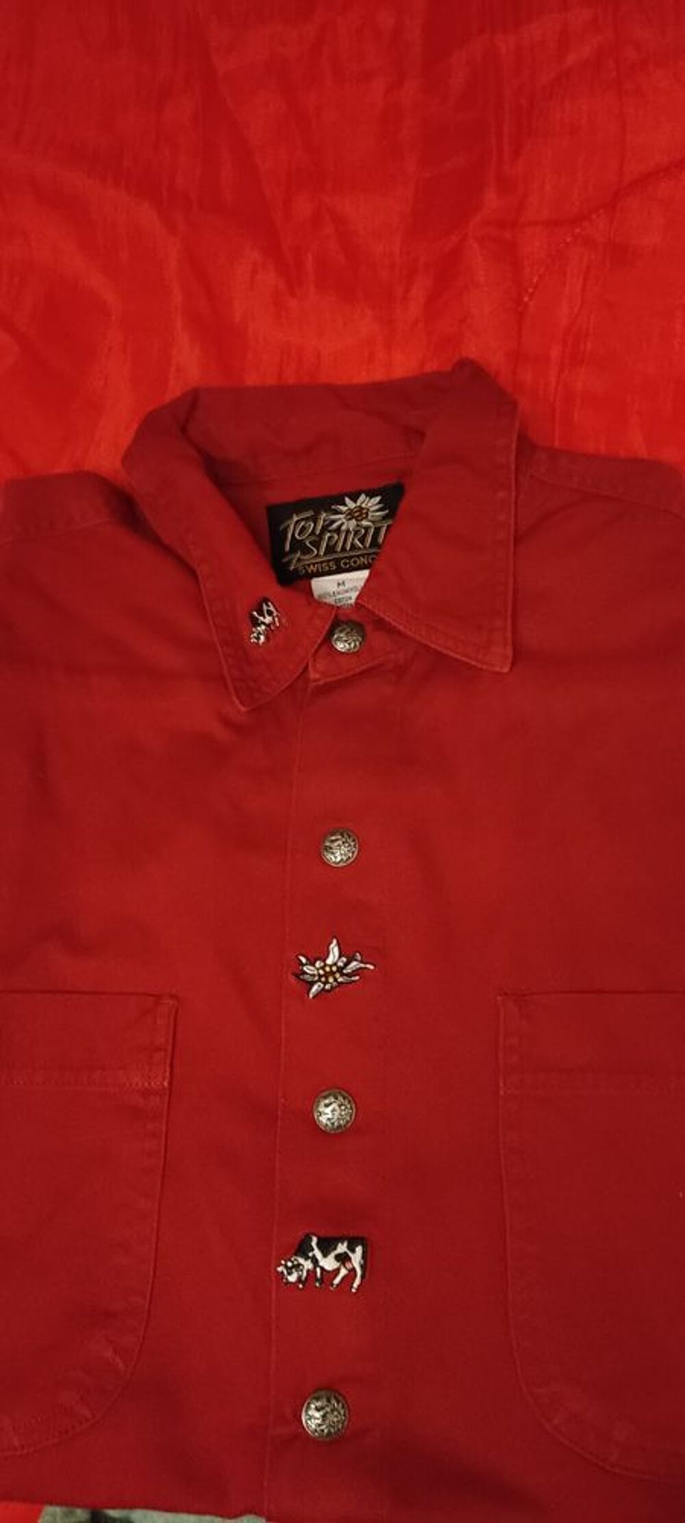 4 chemises brod&eacute;es en excellent &eacute;tat Vêtements