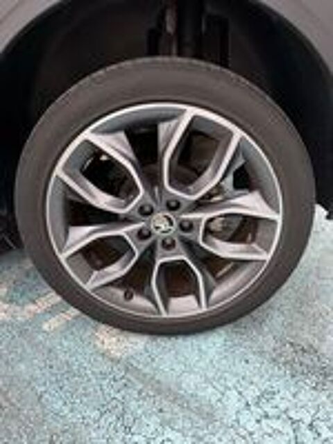 Kamiq 1.0 TSI Evo 110 ch DSG7 Scoutline 2022 occasion 40100 Dax