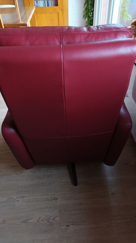 Fauteuil relax motoris� F�chain (59)