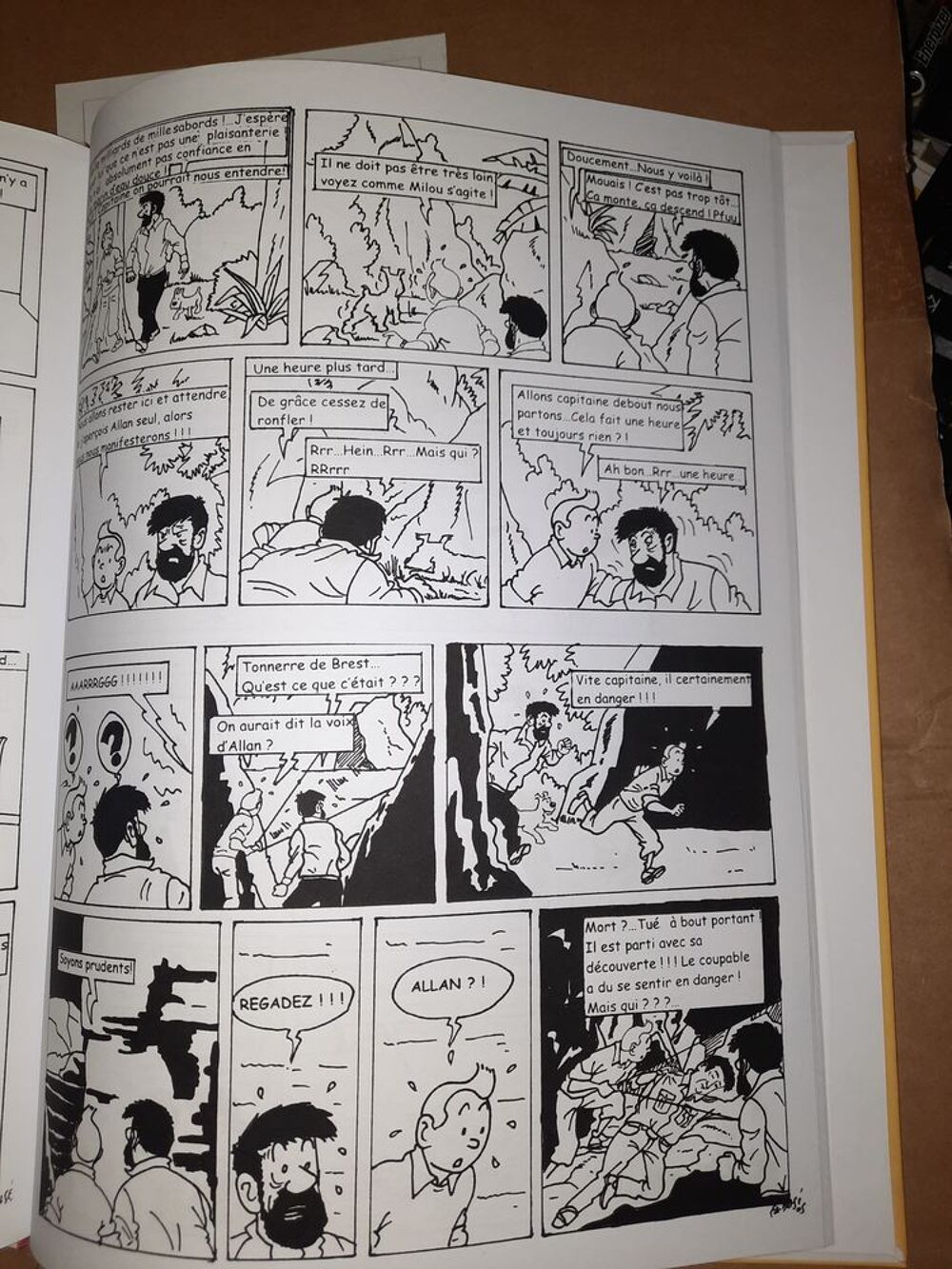 Tintin dans le golfe Livres et BD